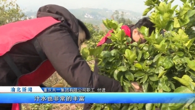 DB�����콢��԰����������������