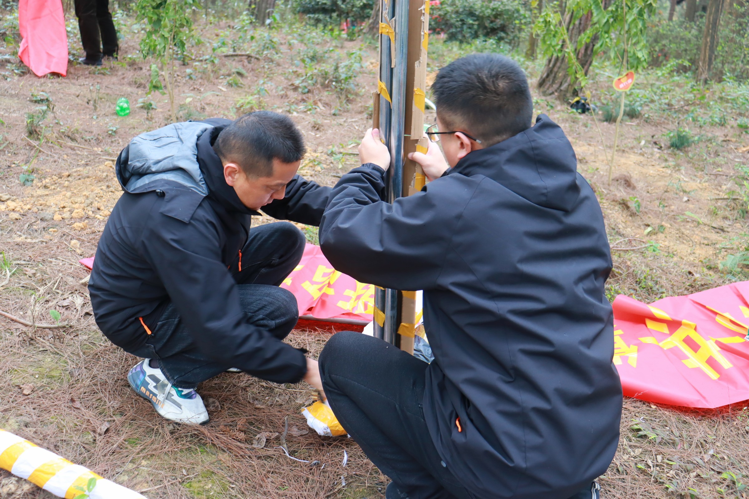 DB���ˡ�(�й���)�ٷ���վ