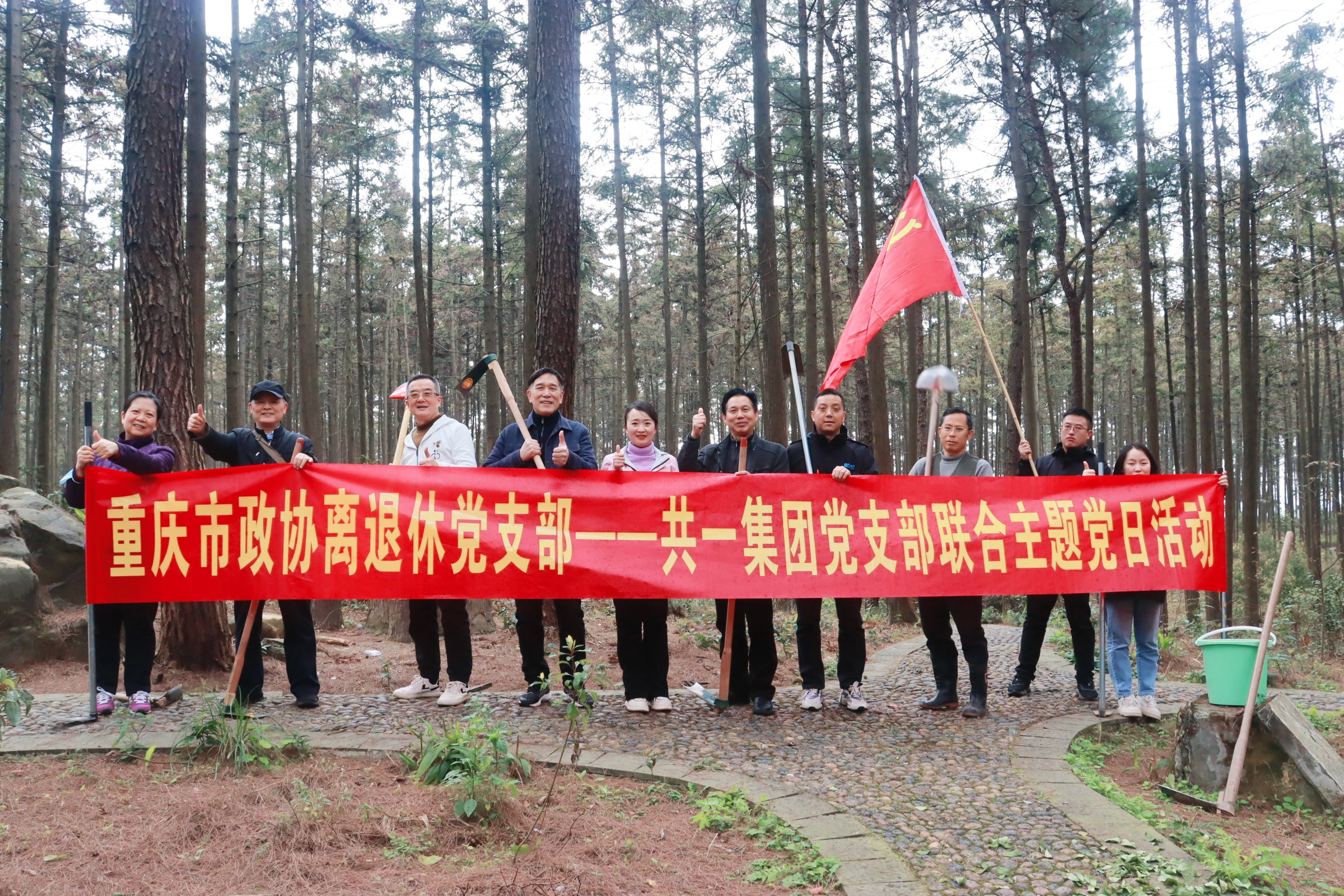 DB���ˡ�(�й���)�ٷ���վ